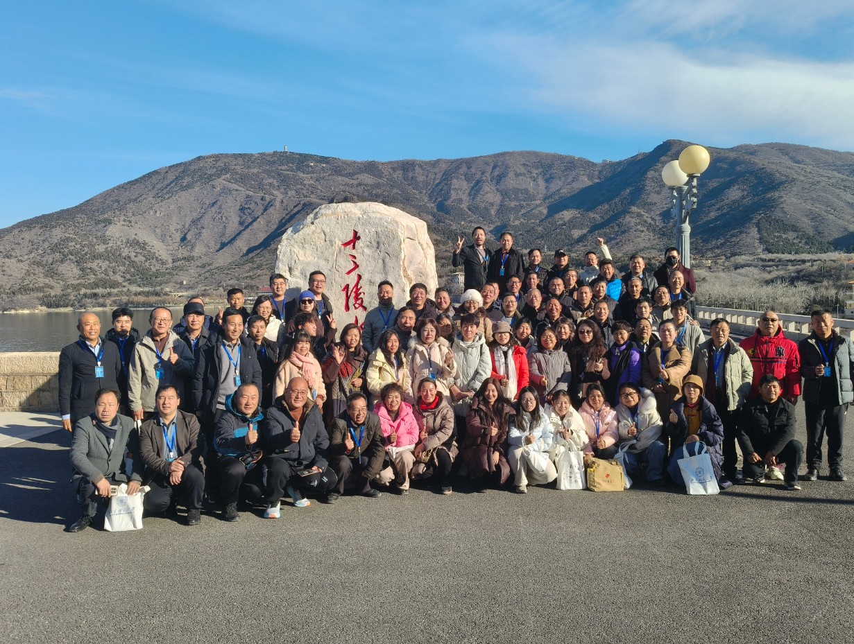 1765235272542862.png image.png