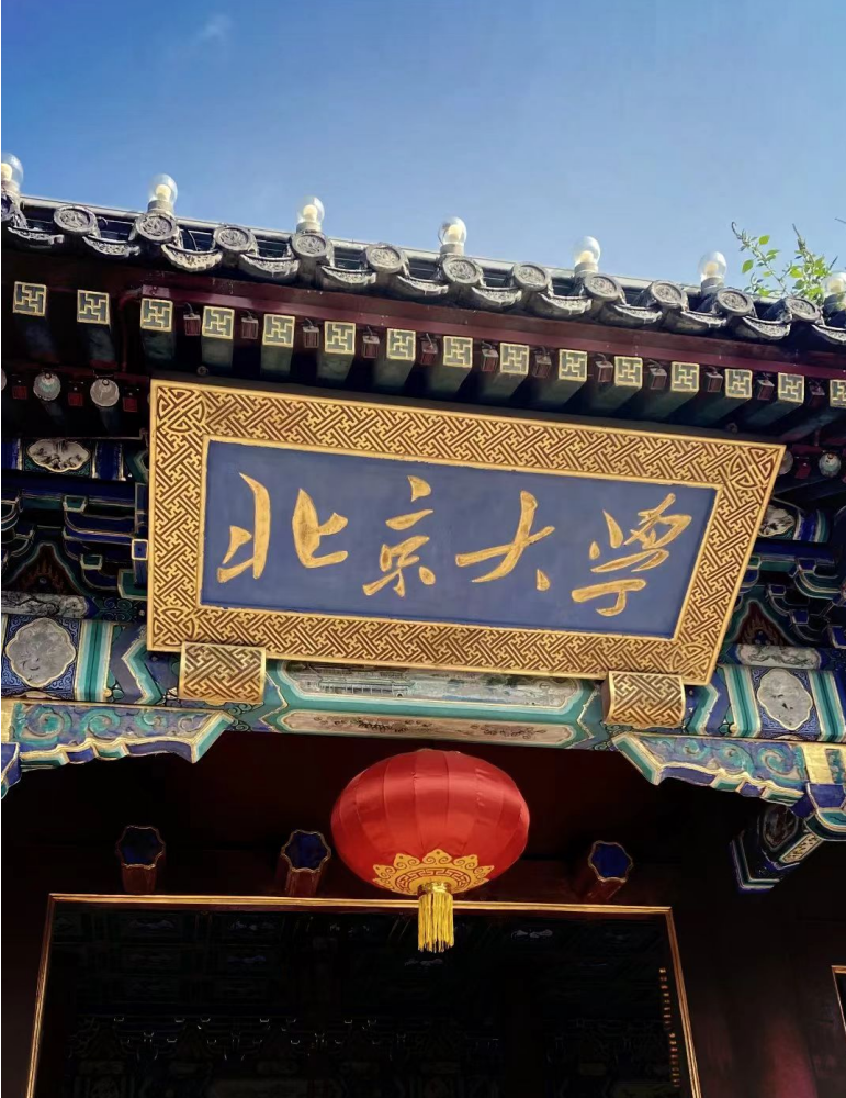 1765258392861296.png image.png