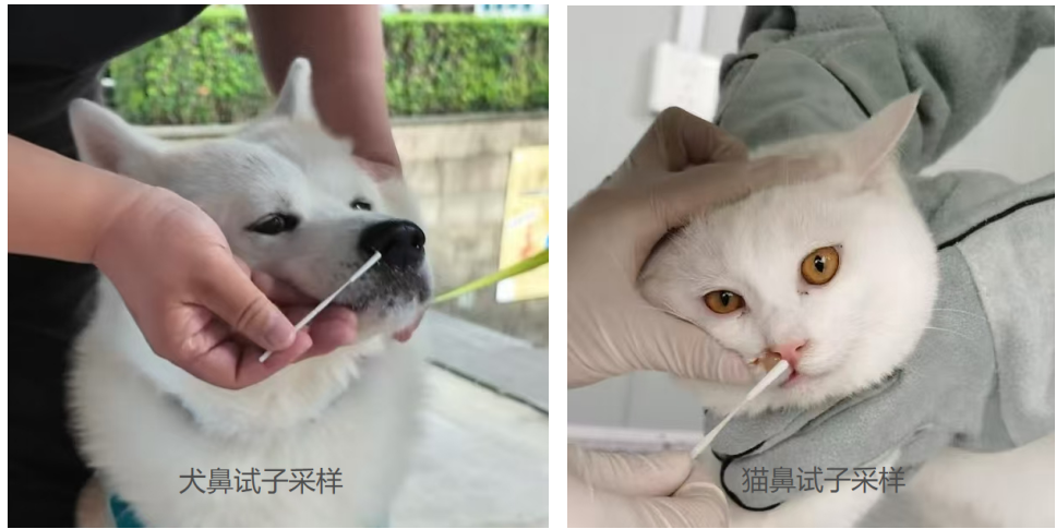 1765691134231667.png image.png