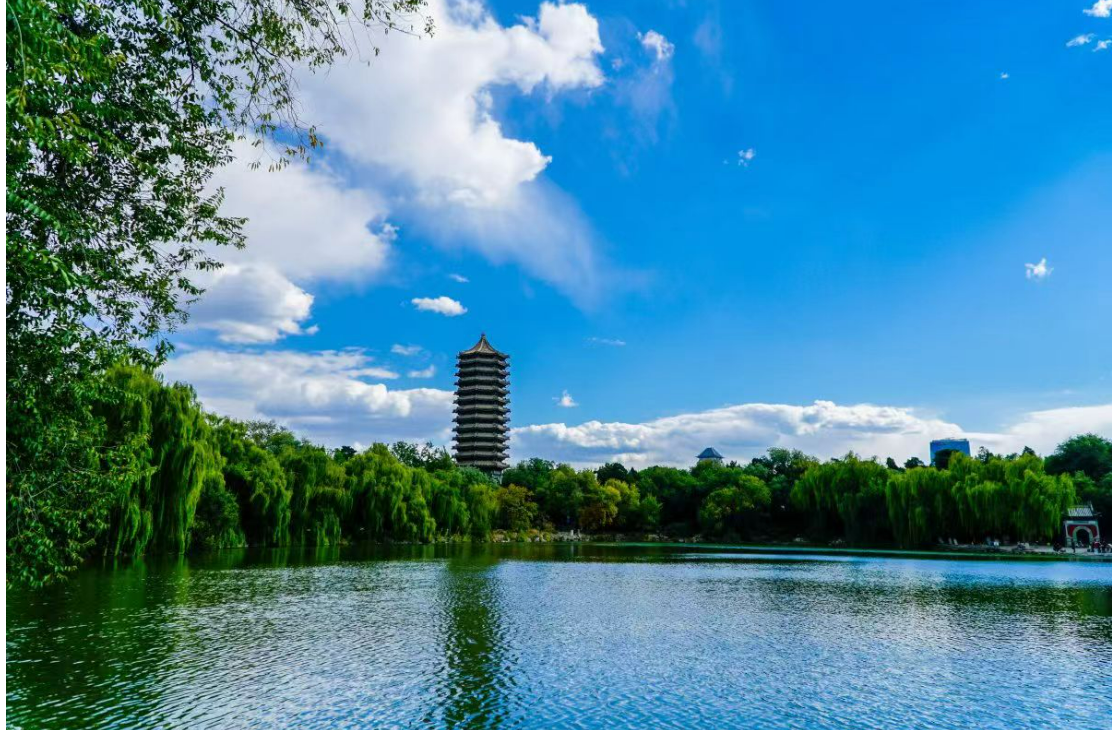 1765258192336655.png image.png